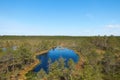 Vew of the Estonian Viru Raba bog with several small lakes and coniferous forest of firs and pines Royalty Free Stock Photo
