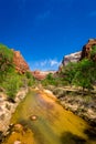 The Virgin River in Zion National Park, Utah