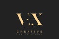 VEX abstract letter logo design Royalty Free Stock Photo
