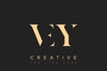 VEY abstract letter logo design Royalty Free Stock Photo
