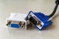 Vga plug of white dvi-d adapter and blue vga socket monitor cord near it. Connection of computer devices with plugs of different