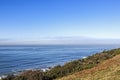 Vgetation and Distant Ocean and Blue Coastal Skyline