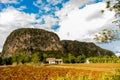 ViÃÂ±ales valley view in Cuba. Unreal nature with lakes, mountain, trees, wildlife. Gorgeus sky.