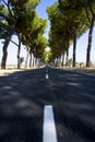 The via appia Royalty Free Stock Photo