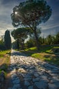 Via Appia Antica during sunset - Rome, Italy