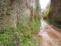 Via Cava, an ancient Etruscan road carved through tufo cliffs in Tuscany