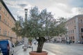 Via della Conciliazione in Rome