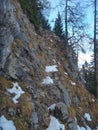 Via ferrata in a forest with snow