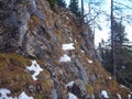 Via ferrata in a forest with snow