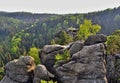 Via ferrata Nonnenfelsen - monumental group of rocks in forest