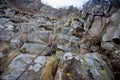 Via ferrata on the Velky Gric rock, Slovakia