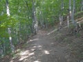 Path in the forest. Via Transilvanica trail in Mehedinti Mountains, Romania, Europe