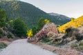 Via verde MaigmÃÂ³. Alicante. Trekking