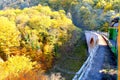Viaduct. Old mining Railway Oravita-Anina in Banat. Typical sight in the forests of Transylvania, Romania. Autumn view. Royalty Free Stock Photo