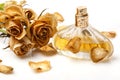 Vial of perfume and dry rose flower Royalty Free Stock Photo