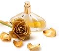 Vial of perfume and dry rose flower Royalty Free Stock Photo