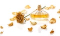 Vial of perfume and dry rose flower Royalty Free Stock Photo