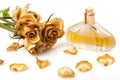 Vial of perfume and dry rose flower Royalty Free Stock Photo