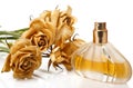 Vial of perfume and dry rose flower Royalty Free Stock Photo