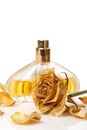 Vial of perfume and dry rose flower Royalty Free Stock Photo