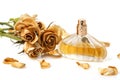 Vial of perfume and dry rose flower Royalty Free Stock Photo