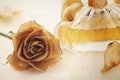 Vial of perfume and dry rose flower Royalty Free Stock Photo