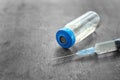 Vial with vaccine and syringe Royalty Free Stock Photo