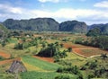 Viales Valley in Cuba