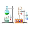 Vials with liquid reagents. Chemistry lesson in school and university. Vector cartoon close-up illustration.