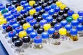 Vials in rack Royalty Free Stock Photo