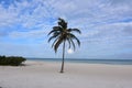 Viberant blue skies and ocean on the coast of Aruba Royalty Free Stock Photo