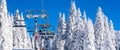 Vibrant active people winter image with skiers on ski lift, snow pine trees, blue sky