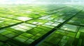 Vibrant aerial landscape cultivated farmland beside river in digital matte painting