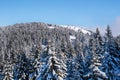 Vibrant aerial panorama of the slope at ski resort, snow trees, blue sky