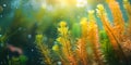 Vibrant algae in coral reef a natural carbon sink capturing carbon in underwater environment. Royalty Free Stock Photo
