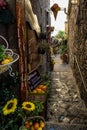 Vibrant alleyway in Vernazza, Italy, lined with quaint and picturesque shops. Royalty Free Stock Photo