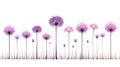 Vibrant Allium Arrangement on White Background in Modern Watercolor Style .