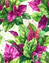 Vibrant Amaranth Leaves and Flowers Pattern Royalty Free Stock Photo