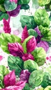 Vibrant Amaranth Leaves and Flowers Pattern Royalty Free Stock Photo