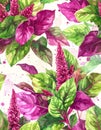 Vibrant Amaranth Leaves and Flowers Pattern Royalty Free Stock Photo