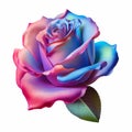 Vibrant American Beauty Rose: Pink and Blue Illustration.