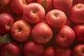Vibrant apple freshness Ripe and juicy red apples, green background