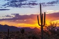 Vibrant Arizona Desert Sunrise With Cactus & Mountains In Background