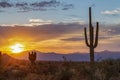 Vibrant Arizona Desert Sunrise With Cactus & Mountains Royalty Free Stock Photo