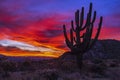 Vibrant Arizona Desert Sunrise Landscape With Cactus
