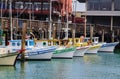 Vibrant array of boats moored in the calm waters of a harbor in San Francisco, the USA