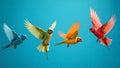 A vibrant array of colorful birds in flight