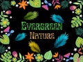 Evergreen nature typography in lush green natural vibes background Royalty Free Stock Photo