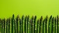 Vibrant asparagus spears on wooden board, minimalist composition, sharp focus, fujifilm xt4, f 5.6 Royalty Free Stock Photo