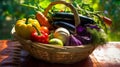 Freshly Harvested Colorful Vegetables on Wicker Basket